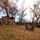 The Grounds in Autumn.