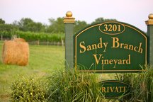 UVA, Presidents' Homes & Wineries