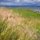 Willapa Bay from Oysterville. Photo by Lisa Warninger, Photographer 