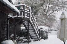 Southampton/New Forest Hideaway!