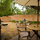 Side Yard + Barbeque