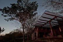 Casa Selva - Welcome to the Jungle!