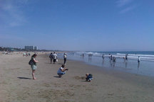 Beach 5 blks! Venice/Santa Monica!