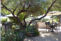 The Shaggy Dog Bed & Breakfast