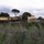 Villa Gamberaia - next door to visit