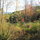 View from the hill above the house