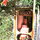 Entry to garden studio (3)