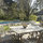 Startup Mansion in Silicon Valley