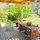 Zen-East in the Heart of Austin