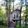 A little house high up in four maples.