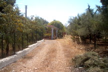 Villa near Castel del Monte, Andria