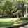 LA FENETRE SUR  LE PARC