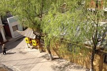 Cozy Guest Room with a View
