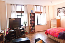 ADORABLE West Village Apt