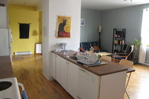 Spacious Apartment in the Plateau