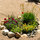Floral display in front yard