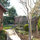 Garden path with espaliered Pear Tree