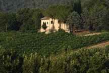 Il Vigneto - Country Farm - Spoleto