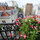 Become true Parisian