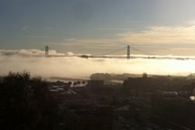 Charming 1br Telegraph Hill w/Views