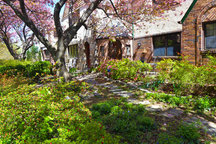 Fairy tale house in a urban oasis