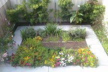 Your own plot in an Urban Garden