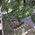 Treehouse Overlooking SF Bay