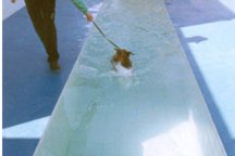 hotel para cachorros em Curitiba