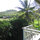 Jade Lily-Luxury Treetop Bungalow! 