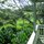 Jade Lily-Luxury Treetop Bungalow! 