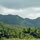 Jade Lily-Luxury Treetop Bungalow! 