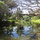 Jade Lily-Luxury Treetop Bungalow! 
