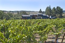 Sebastopol Wine Country Estate