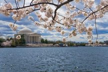 Jewel in Old Town Alexandria