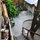 Casitas Kinsol - Room # 4 - The wood stairs to the tree-house - 