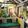 Casitas Kinsol - (website hidden) - The common area - 