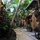 Casitas Kinsol - (website hidden) - The yard - The entrance of Casitas Kinsol - 