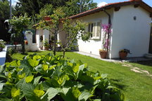 La Capinera, cottage in Toscana