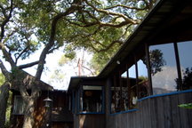 NATURAL WONDERS #2/PEACE & PRIVACY