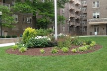Excellent 1BR, 2BR, or Entire Apt. 
