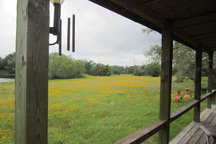Columbus Ranch w/ Beautiful Lake
