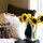 2 bedroom 2 bath SOMA Luxury Apartment + Roofdeck!