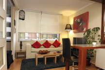 NEW Furnished Flat  CHILE4RENT