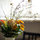 Lovely rooms in stylish Apt.!!