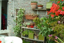 collocation en centre ville de lill