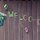 Welcome sign with hanging flower basket.