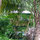 tropical treehouse