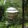 tropical treehouse