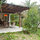private garden from the kitchen..