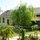 back yard with sweet willow tree